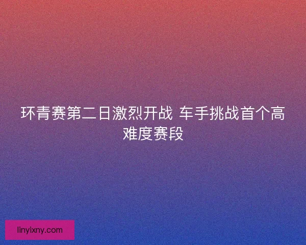 环青赛第二日激烈开战 车手挑战首个高难度赛段 环青赛第二日激烈开战 车手挑战首个高难度赛段