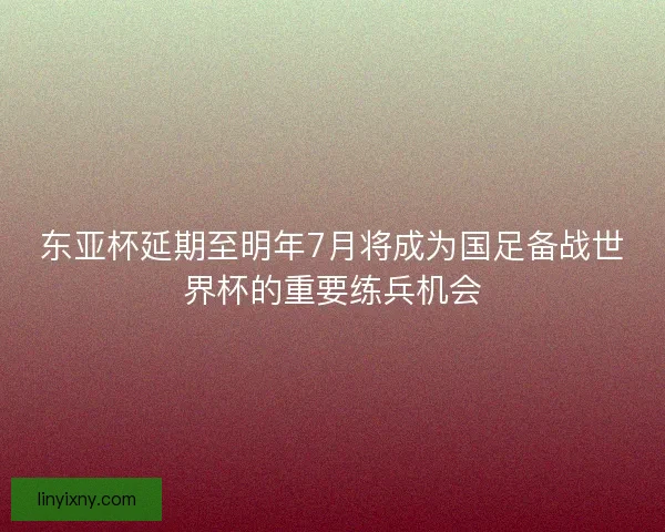 东亚杯延期至明年7月将成为国足备战世界杯的重要练兵机会