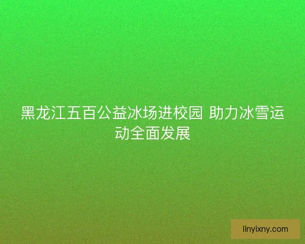 黑龙江五百公益冰场进校园 助力冰雪运动全面发展